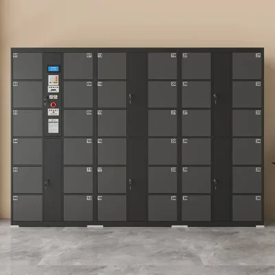 Smart storage locker 智能存包柜
